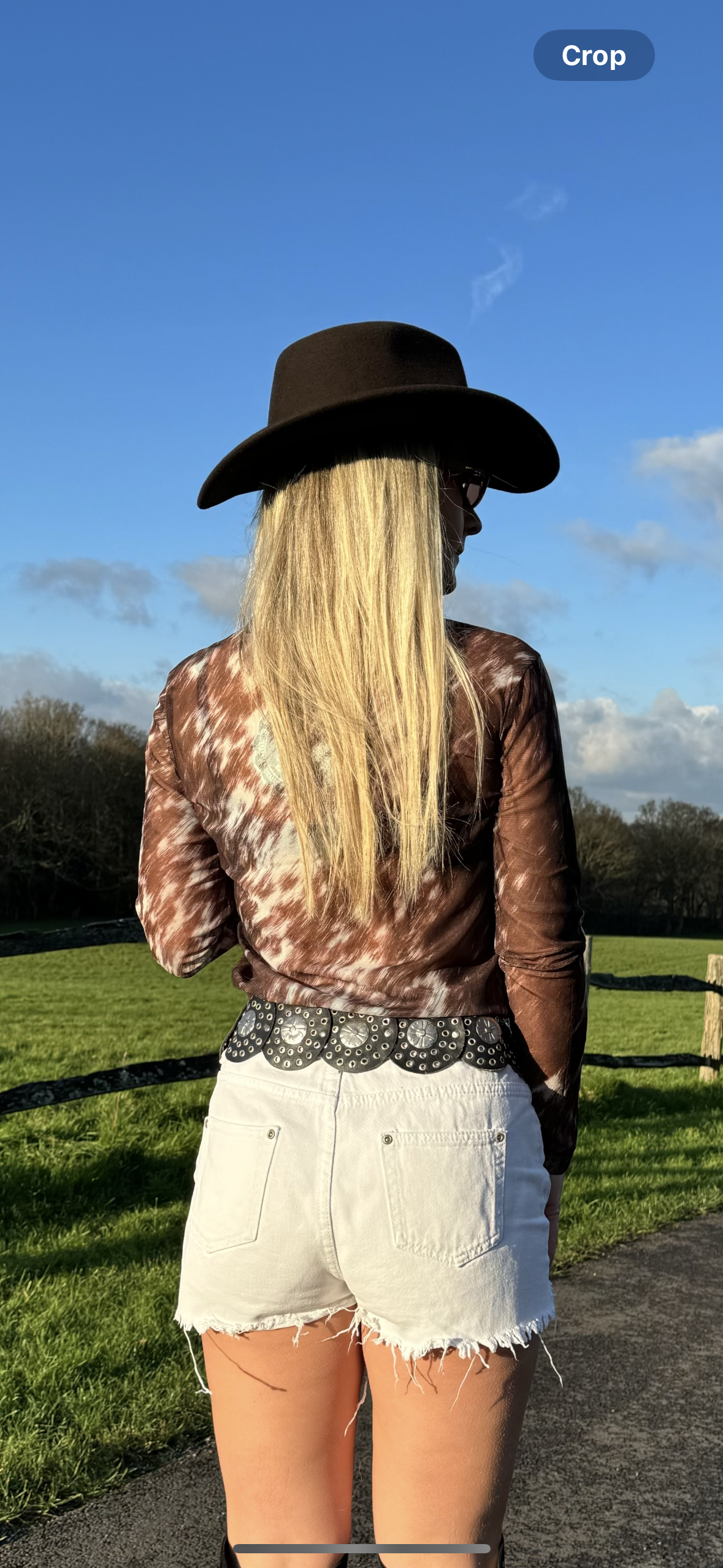 Wild West Brown Mesh Top