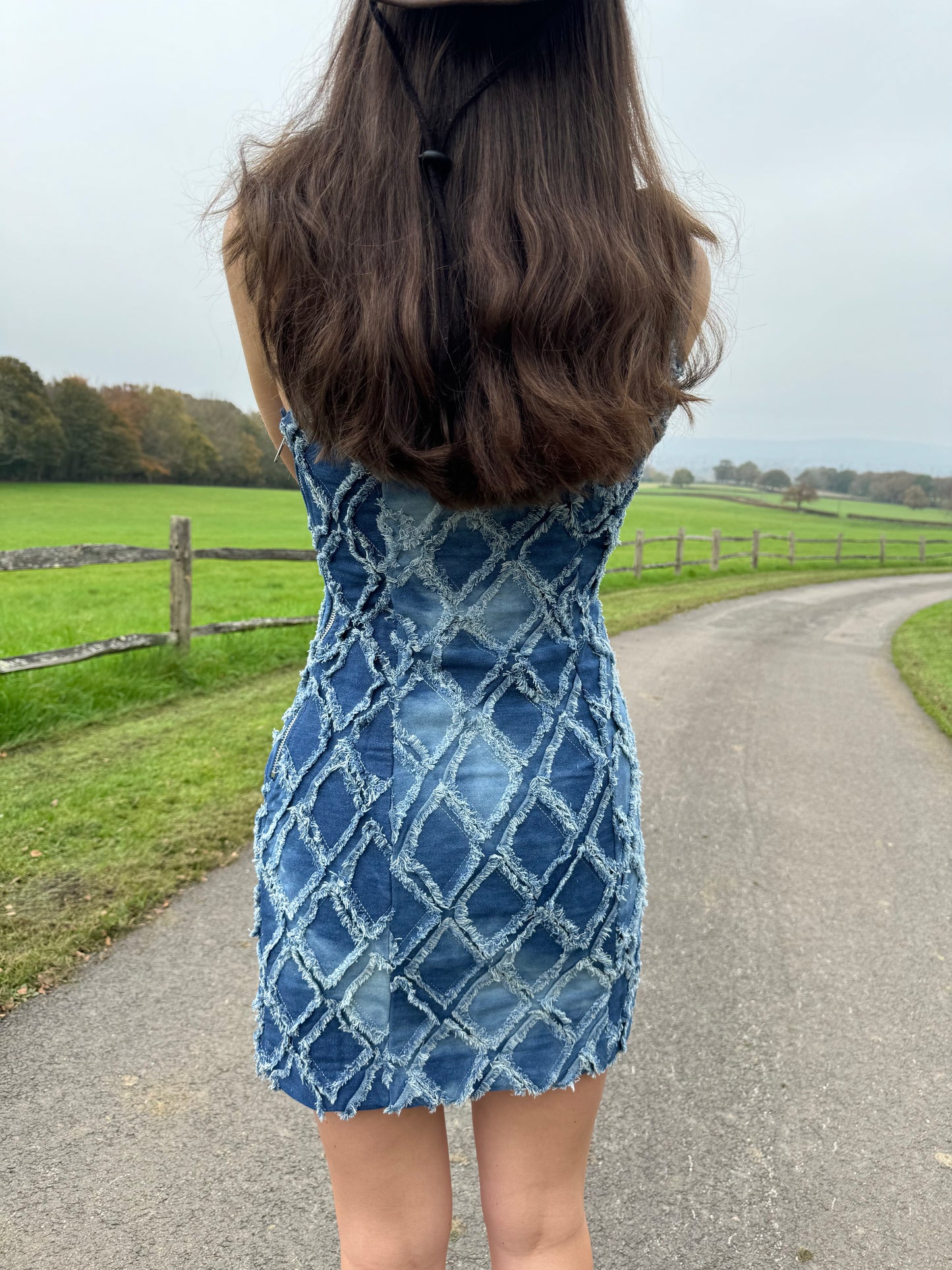 Fitted Denim Dress