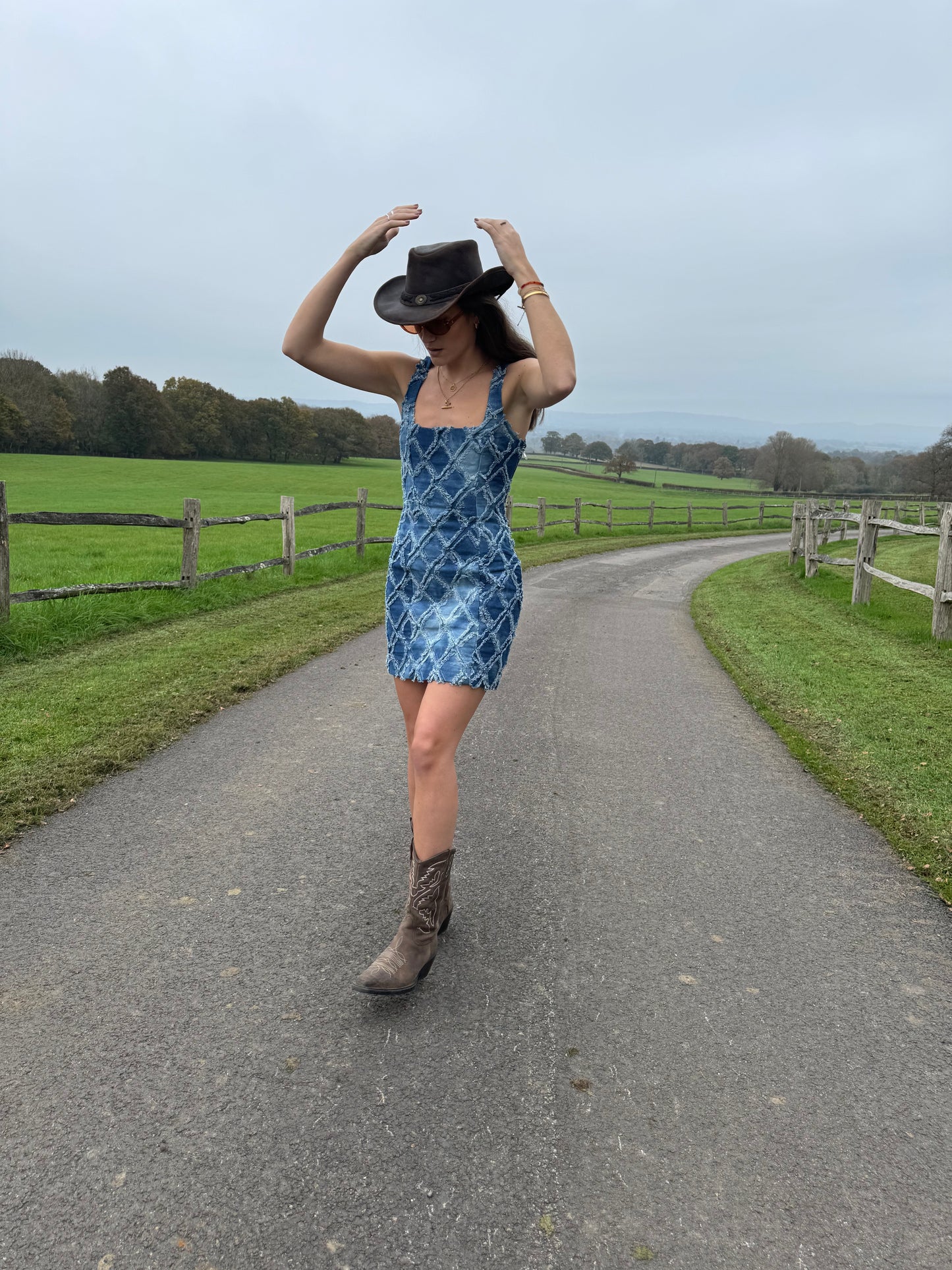 Fitted Denim Dress