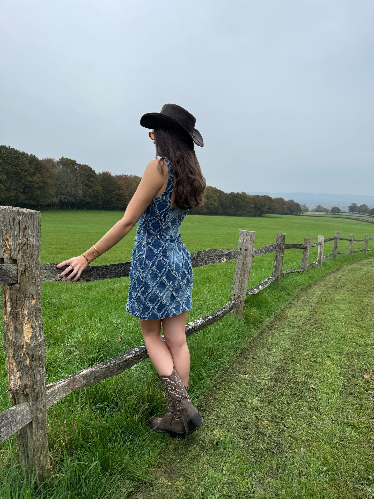 Fitted Denim Dress