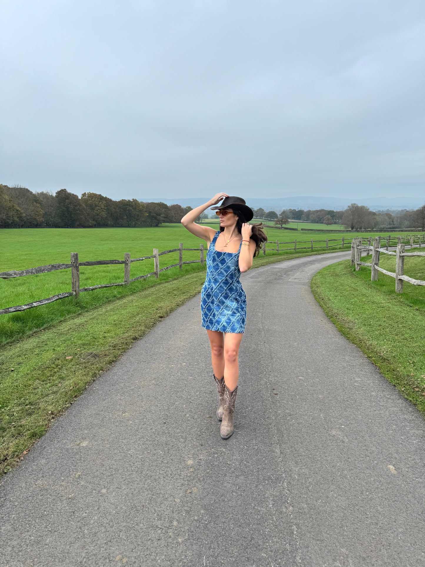 Fitted Denim Dress